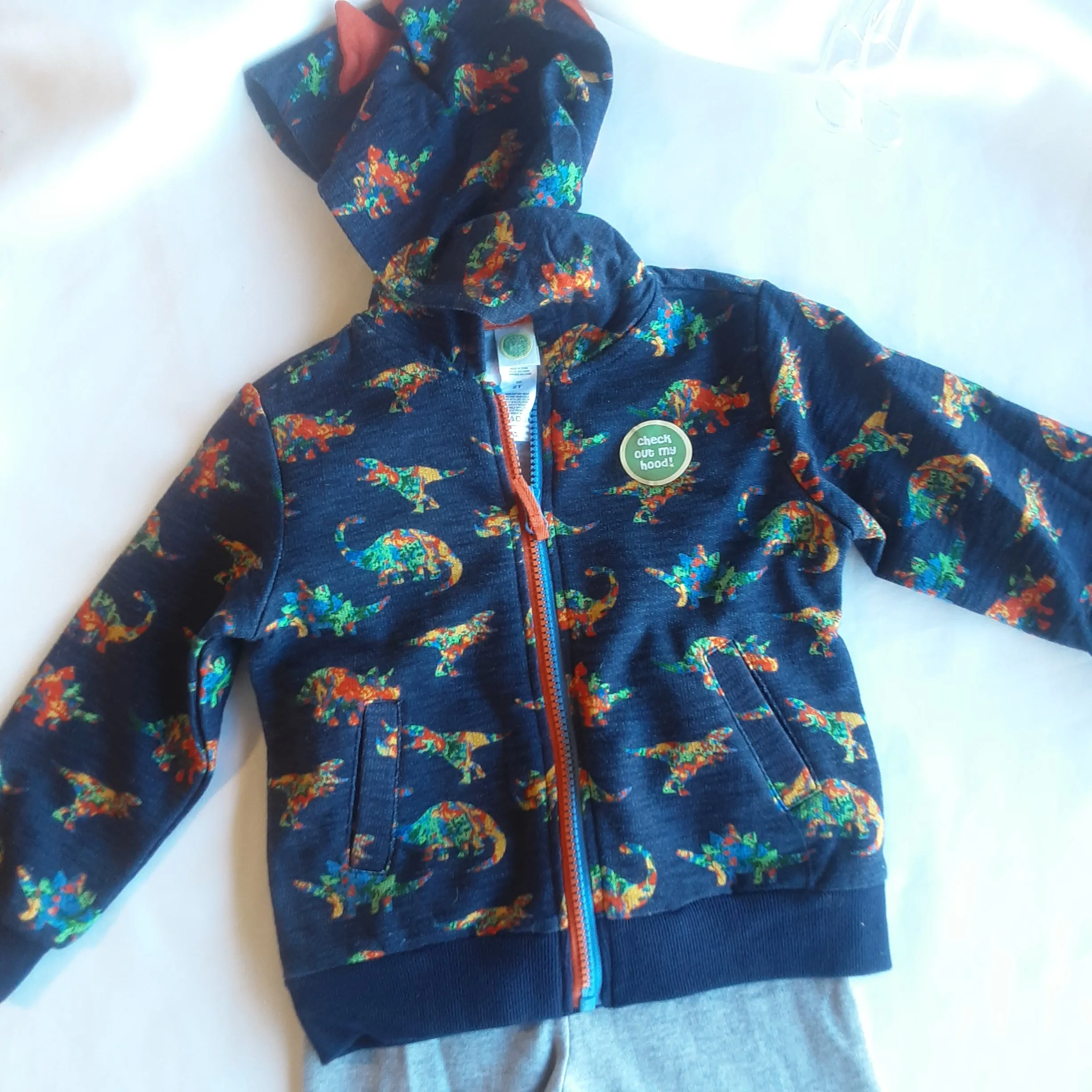 Dinosaur Hooded Zip Front Jacket with Joggers