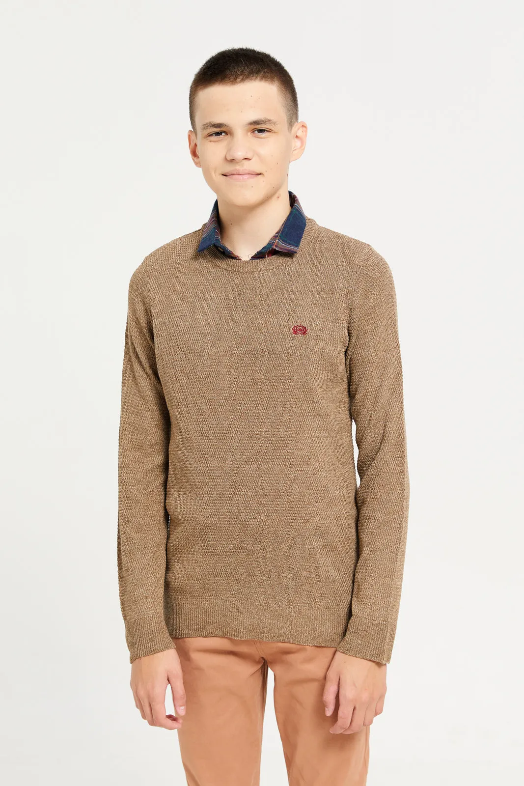 Senior Boys Beige Collared Sweater